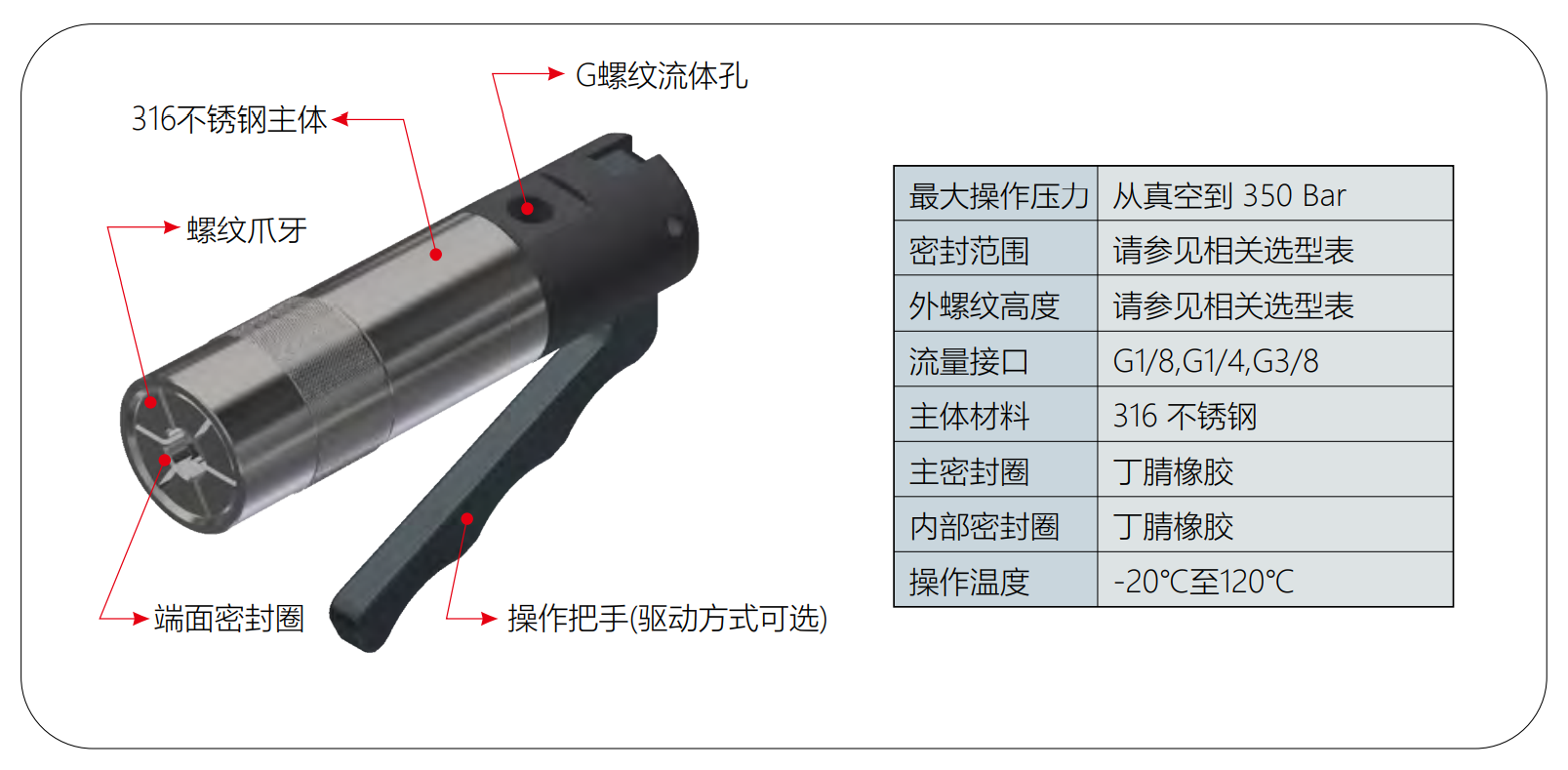 G85系列高壓外螺紋密封測試接頭