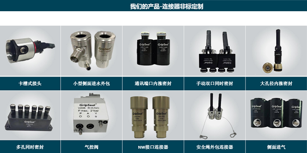 格雷希爾非標(biāo)定制密封測(cè)試接頭